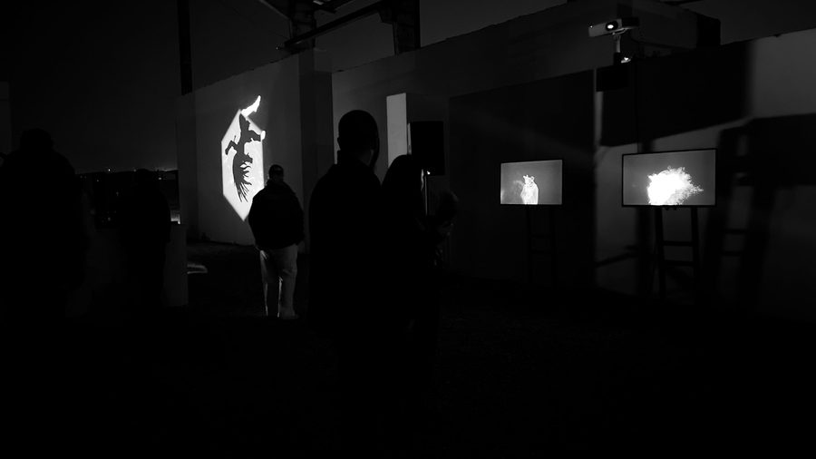 Platform 101 exhibition installation